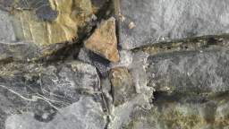acastle
                          110015.jpg